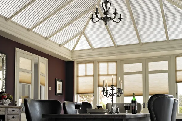 TS DUETTE PLEATED ROOF DOOR CONS CARAMEL