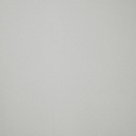 Dove Grey