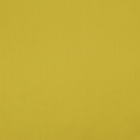 Pistachio