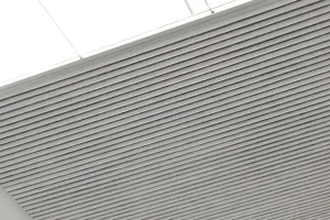 TS 2022 DOLPHIN DUETTE ROOF LANTERN01