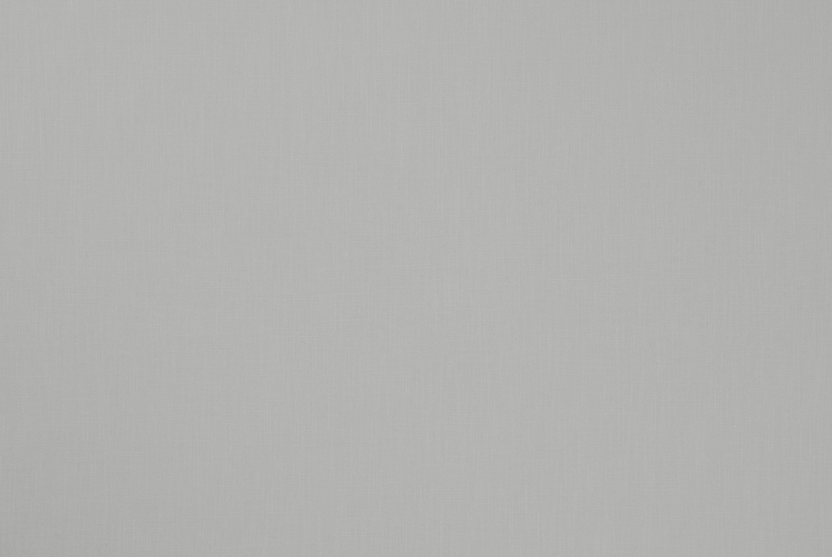 Ts 2021 Roman Blinds Curtains Lightbox Fagel Silver 1168X782