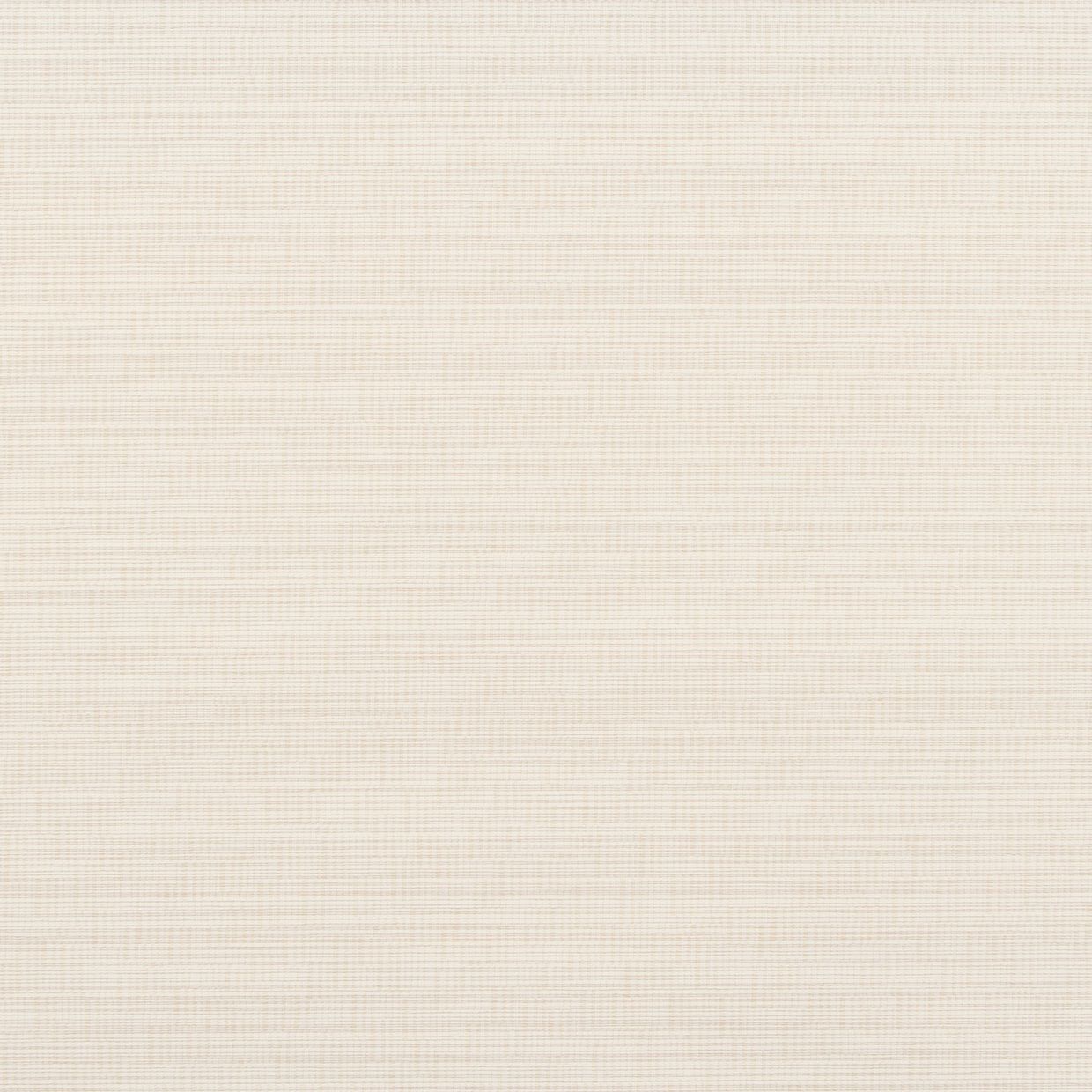 Hil Rollers Arie Cream