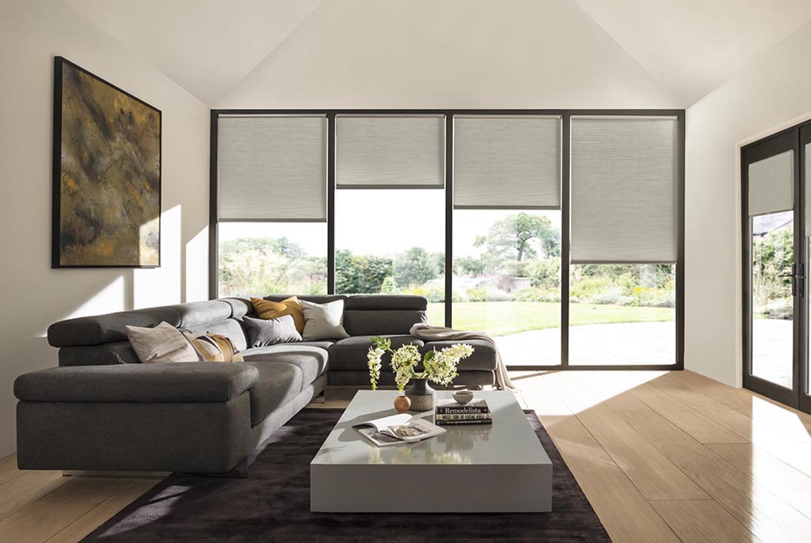 Ts 2021 Duette Blinds Roomset Linear Winter 1168X782