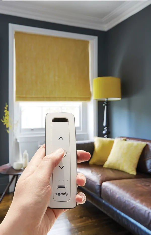 Calista Rom Rt 005 Somfy