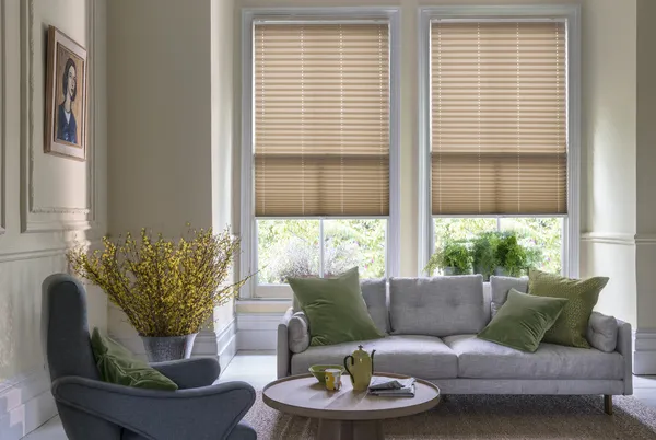 Living room in neutral tones with two adjacent windows dressed in pale yellow-gold pleated blinds lowered midway, pale grey couch with green cushions in front of window, low round table with yellow teapot and cups, yellow gorse in corner under woman's portrait.