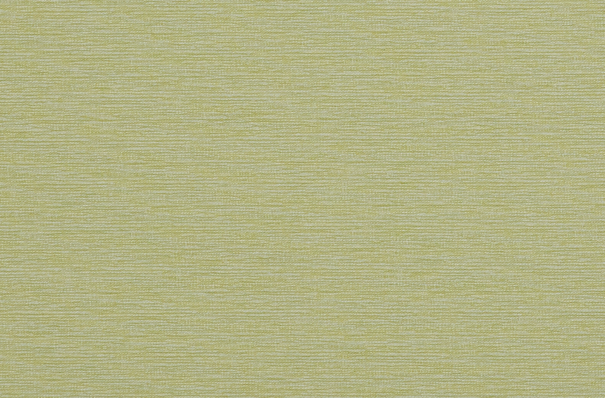 TS 2023 ROLLERS SWATCH GRAIN LIME 1168X782