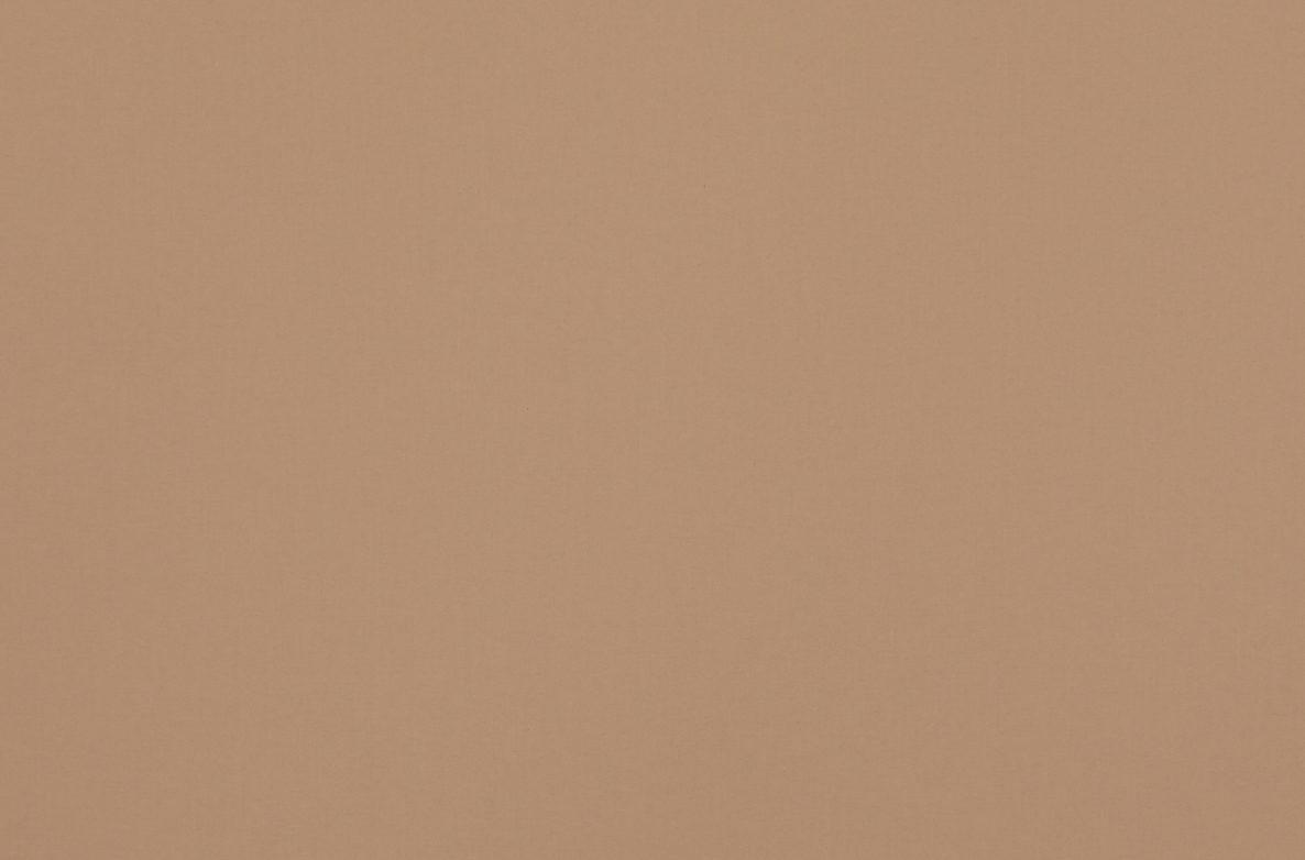 TS 2023 ROLLERS SWATCH HURST BARLEY 1168X782