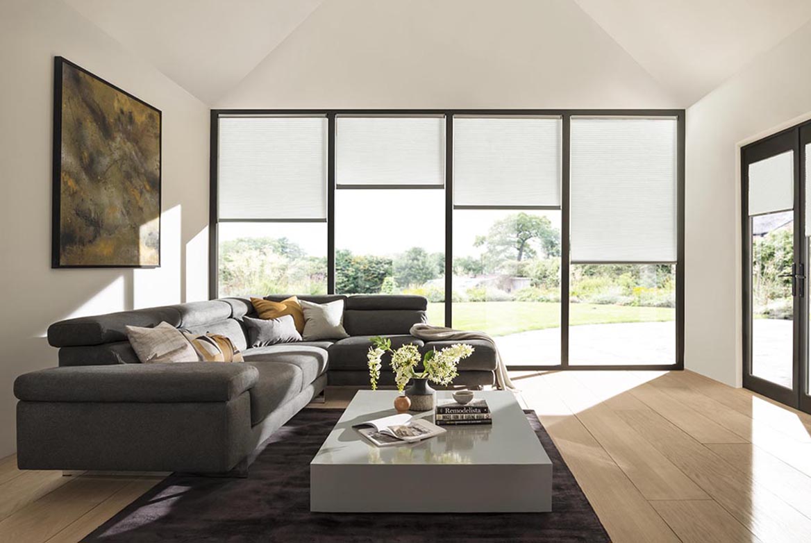 Ts 2021 Duette Blinds Roomset Montana Swan 1168X782